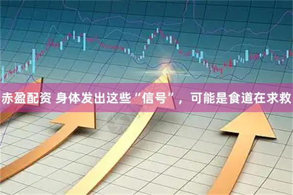 赤盈配资 身体发出这些“信号”，可能是食道在求救